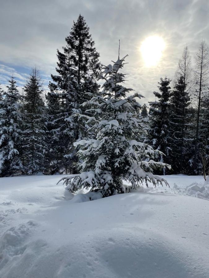 Chata Vevericka Oravská Lesná Dış mekan fotoğraf